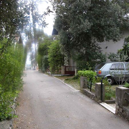 Apartment In Petrcane/Zadar Riviera 7866 Экстерьер фото